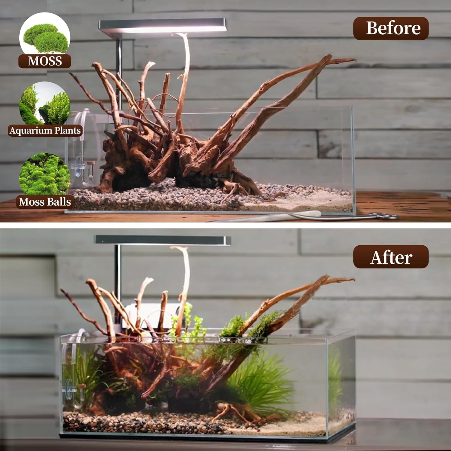 majoywoo Natural Large Driftwood for Aquarium Decor Reptile Decor, Assorted Spider Wood Branch 13-17" Long, Fish Tank Decoration