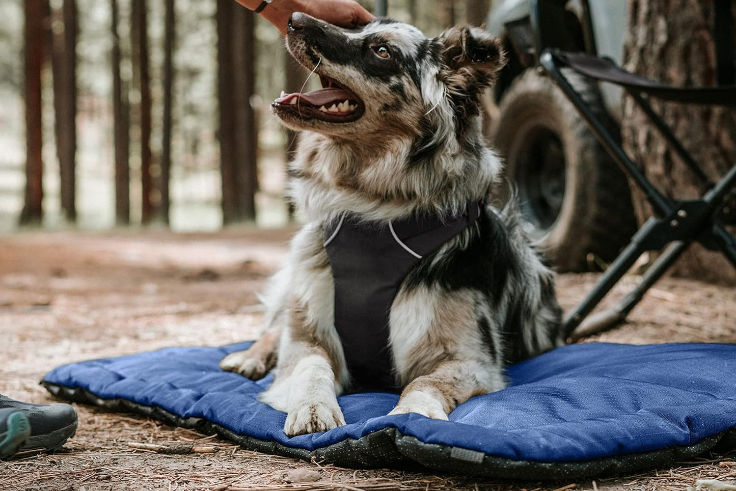 K9 Ballistics Tough Ripstop Dog Crate Pad - Durable & Machine Washable with Non-Skid Bottom and 120-Day Warranty, Fits 30" Wire Crates - Small, Light Gray Velvet