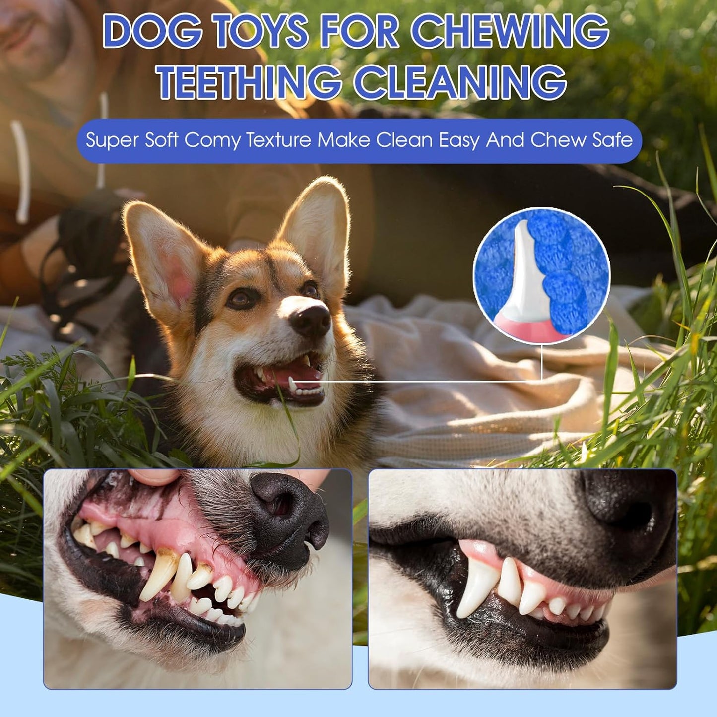 Squeaky Dog Toys - Plush Toy, Durable, Stretchy, Keeps Dogs Busy, Interactive Dog Toys Stress Release Game for Boredom Suitable for Small Medium and Large Dogs