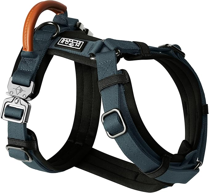 MADE TO ROAM Premium Explorer Harness - Y-Shaped Dog Harness with Adjustable Durable Nylon, Soft Padding, Metal Buckles and Leather Handle for Small, Medium, Large Dogs (Colorado Nightsky, Size 1)
