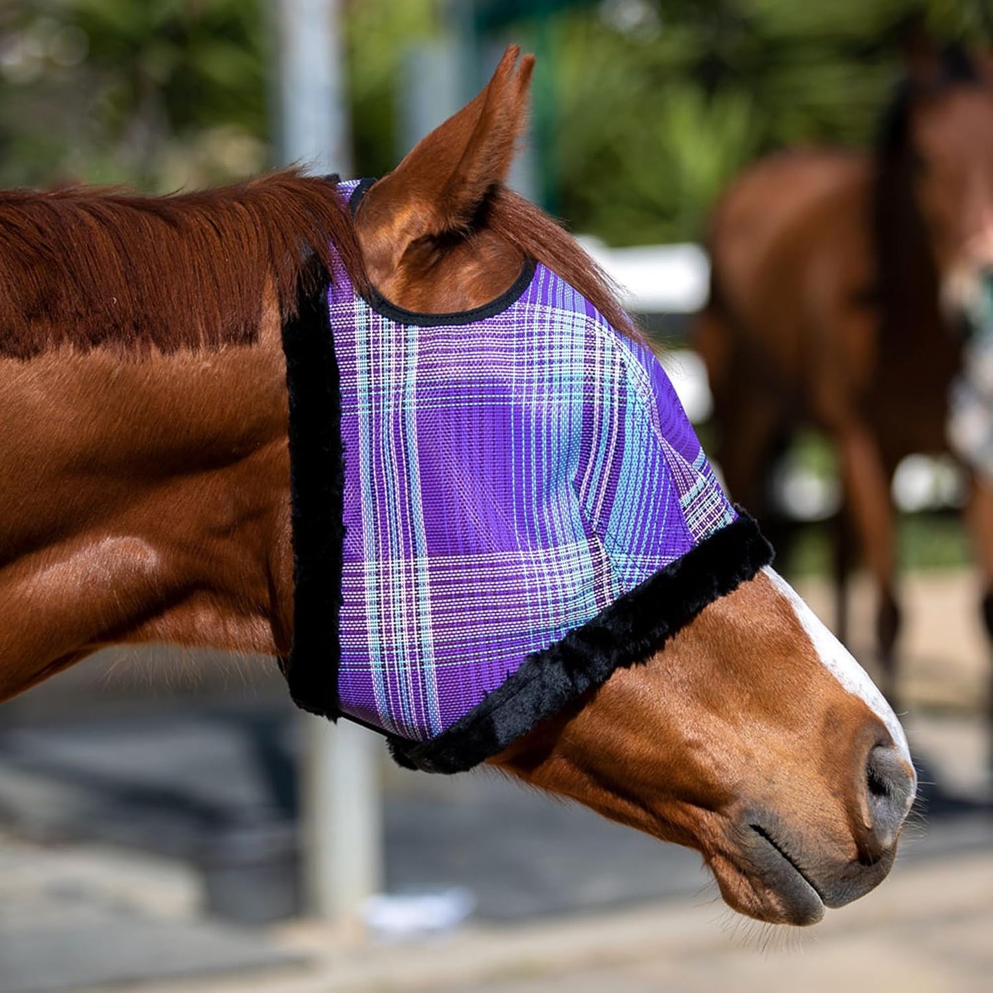 Kensington Fly Mask with Fleece Trim for Horses — Protects Face and Eyes from Flies and Sun Rays While Allowing Full Visibility — Breathable and Non Heat Transferring, Medium, Lavender Mint