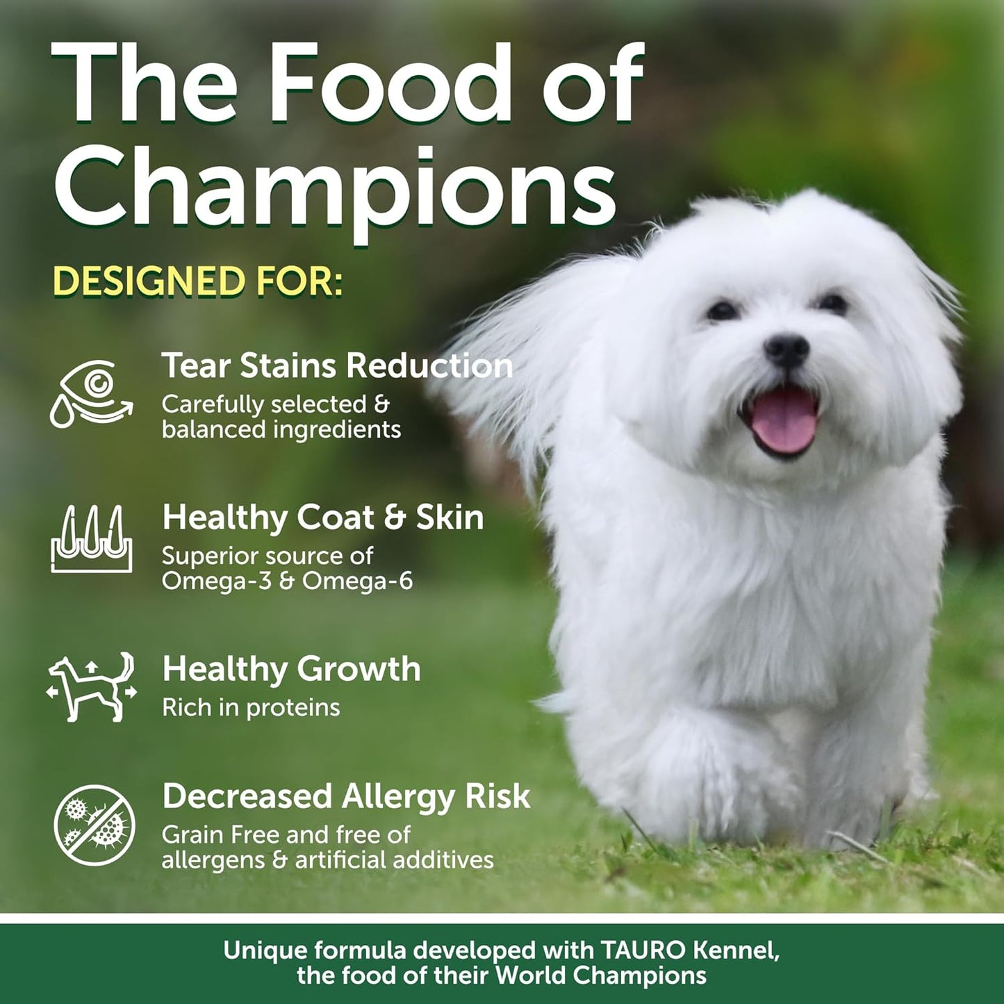 Nature's Protection Superior Care White Dogs Grain-Free Dry Dog Food - High Protein, Tear Stain Dog Food for Small & Mini Breeds Light Coated Adult Dogs, Fresh Pet Meal, Insect, 22 lb