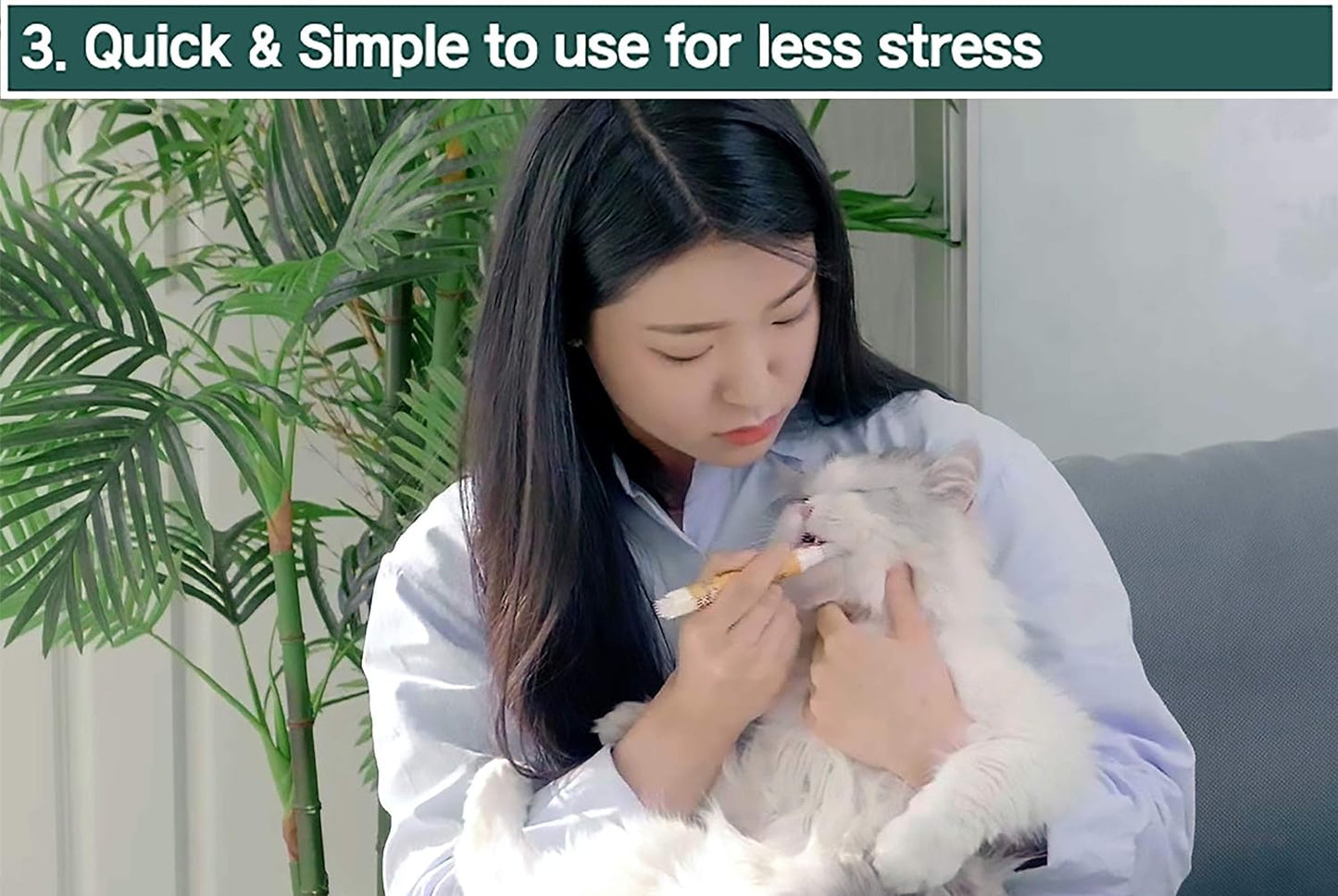 Cat Toothbrush & Toothpaste Kit – Flavor-Free Dental Gel for Cats – Finger Brush & Handle for Daily Oral Care – Plaque & Tartar Cleaning for Kittens and Adult Cats (2 Pack, 2 Count)