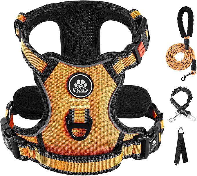 IVY&LANE No Pull Dog Harness for Small Dogs, Vest Harness with Leash, Safety Belt and Storage Strap, Fully Adjustable, 360° Reflective Strip, Soft Handle (Orange, S)
