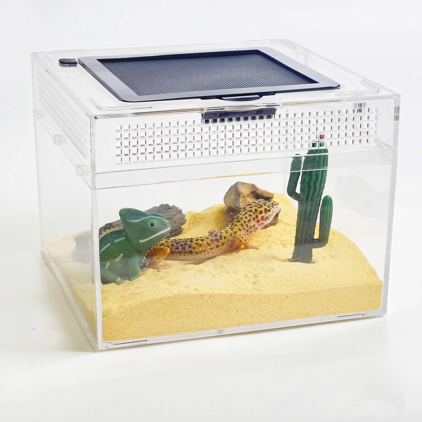 Reptile Terrarium 2025 Upgrade Leopard Gecko Tank Dual use of Water and Land, Stronger, More Durable, More Convenient, Suitable for Gecko, Hermit Crab, Tree Frog, Tarantula,Spiders (Small)