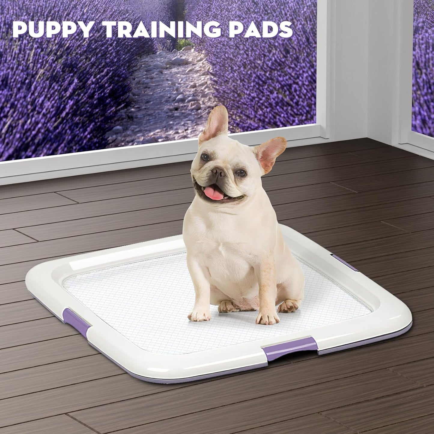 CROCI Puppy Pads 22x22in Small with Adhesive Tabs, Dog Pee Pads Absorbs Up to 3 Cups Potty Training, Disposable (50 Counts)