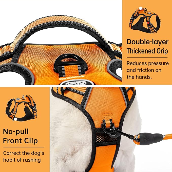 IVY&LANE No Pull Dog Harness for Medium Dogs, Dog Vest Harness with Leash, Safety Belt and Storage Strap, Fully Adjustable Harness, 360° Reflective Strip, Soft Handle (Orange, M)