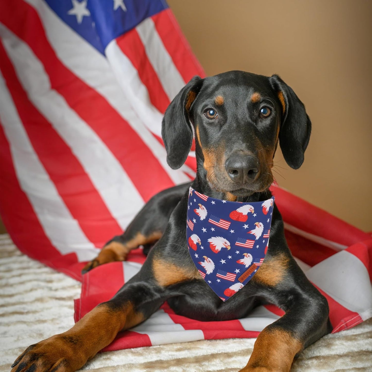 ADOGGYGO American Flag Dog Bandanas, Red Blue Patriotic Eagles USA Flag Scarf, Multi Size, 4th of July Bandana for Small Dogs Pets (Small)