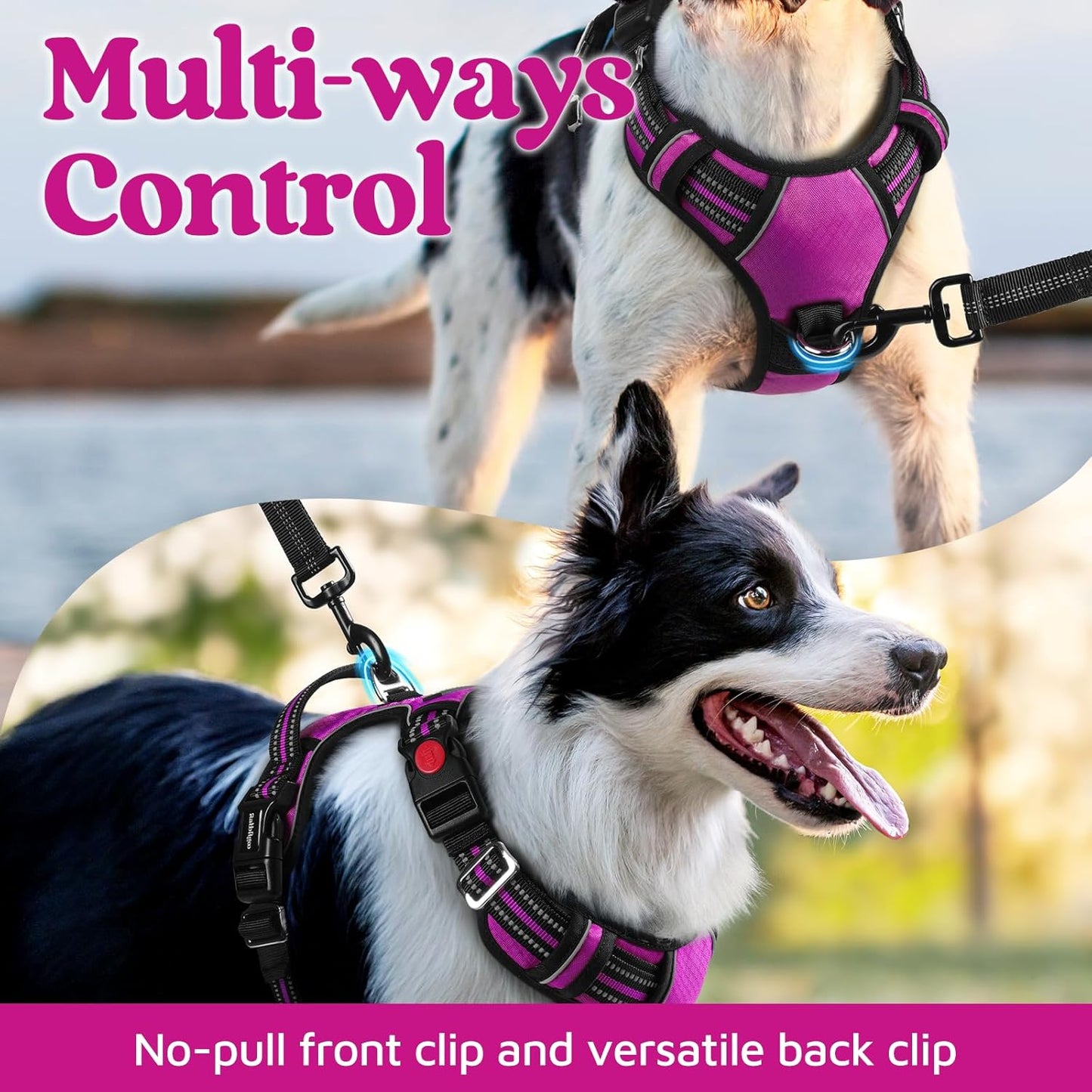 rabbitgoo Dog Harness Medium Sized, No Pull Dog Vest with 3 Buckles, Adjustable Soft Padded Pet Harness with Easy Control Handle and Reflective Strips, Purple, M