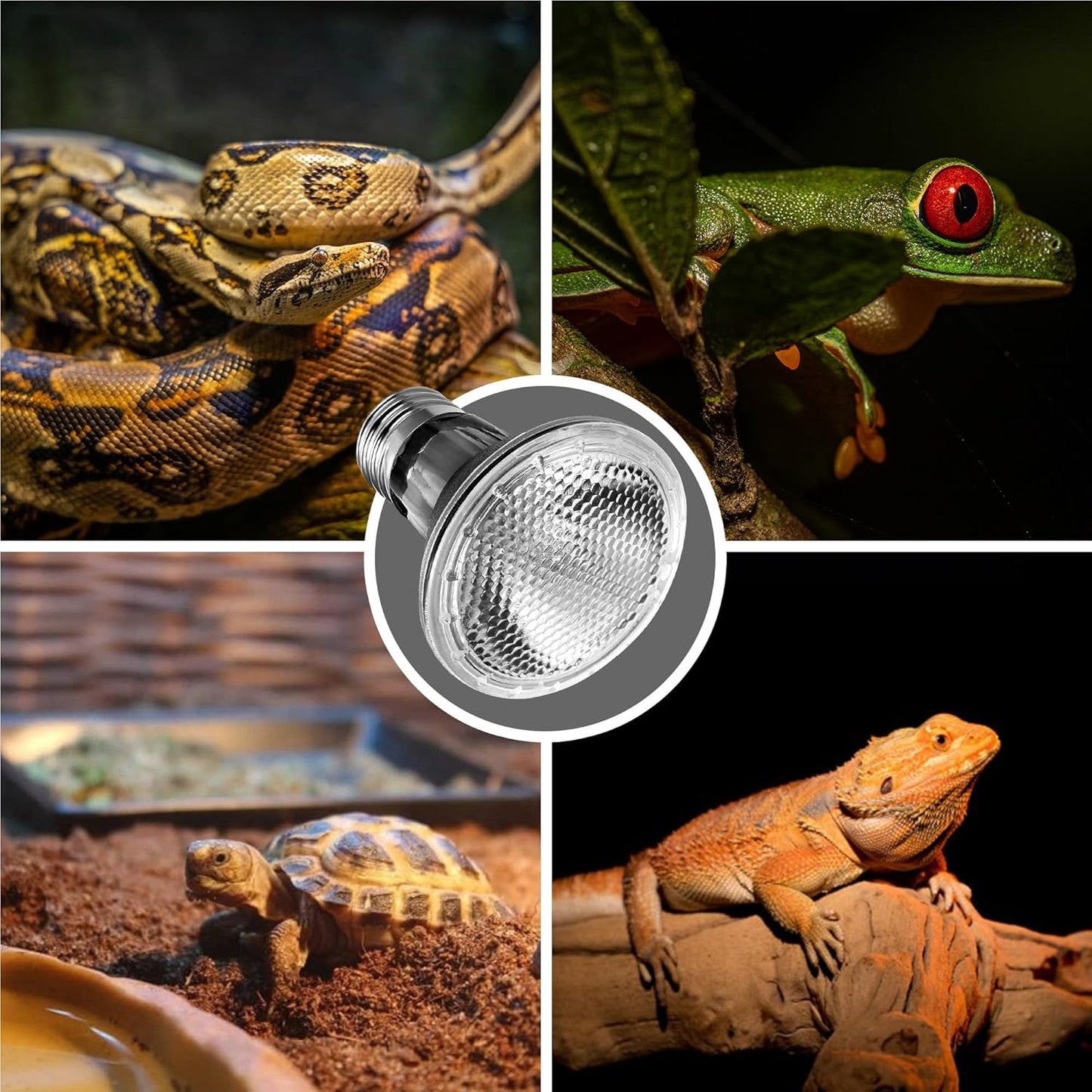 Reptile Heat Bulb [2 Pack], Reptile Light Bulbs 75W UVA UVB, Dimmable Heat Lamp Bulbs Basking Spot Light Bulb for Reptiles, Amphibian, Bearded Dragon, Lizard, Chicken