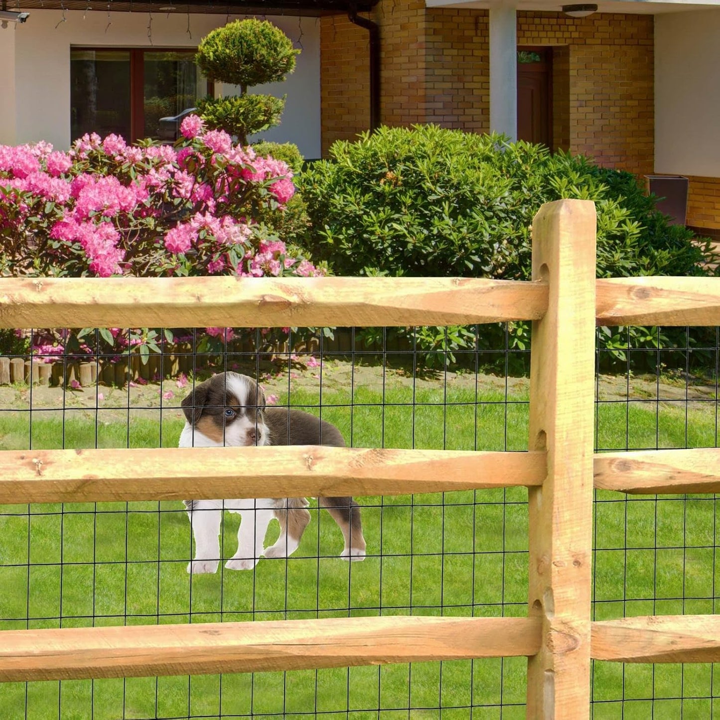 Black PVC Coated Welded Wire Fence 24 Inch x 25 Foot, 2 Inch x 3 Inch 16GA, Garden Border Fencing Roll Vinyl Coating Metal Wire Mesh for Yard Vegetable Plant Protection Poultry Netting