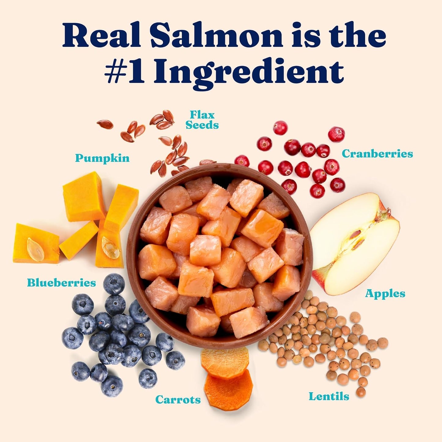 Solid Gold Indoor Dry Cat Food - Grain Free & Gluten Free - Salmon Cat Food Dry Kibble for Indoor Cats w/Probiotics & Fiber for Gut Health - Sensitive Stomach & Hairball Support for Adult Cats - 12LB