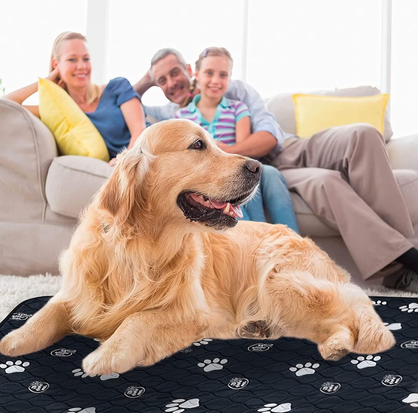 EZwhelp Reusable Dog Pee Pads, Washable Waterproof Mats for Dog Potty Training or Whelping Pads, 24x48 Inch, 2 Pack