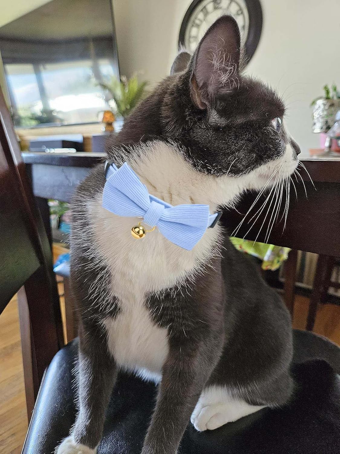 2 Pack Soft Corduroy Cat Collars with Bow Tie & Bell, Adjustable Breakaway Cotton Kitty Bowtie Collar for Girl Boy Kitten (Pink & Blue)