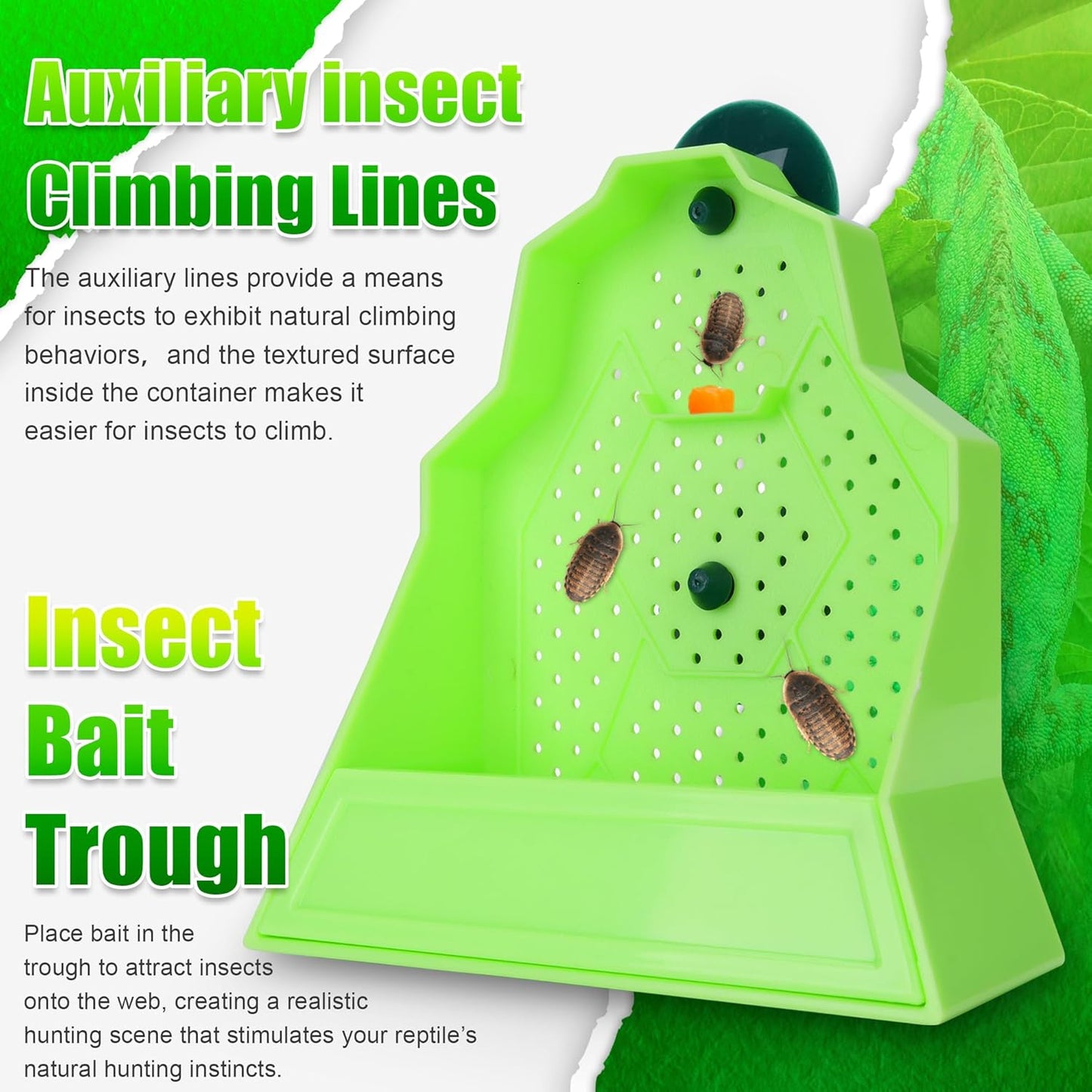 Reptile Anti-Escape Feeding Bowl, Wall-Mounted Feeder for Reptile, Stimulate Hunting Accessories for Terrarium, Vivarium and Paludarium, Suitable for Lizard, Gecko & Frog, Medium