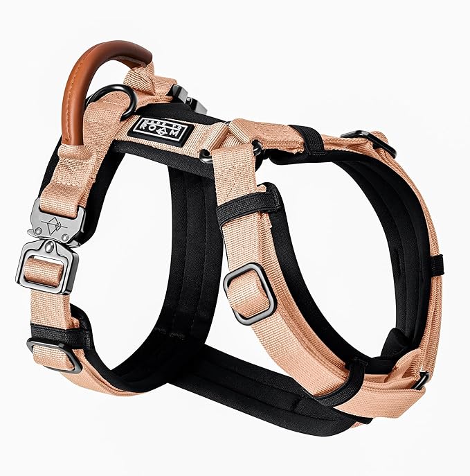 MADE TO ROAM Premium Explorer Harness - Y-Shaped Dog Harness with Adjustable Durable Nylon, Soft Padding, Metal Buckles and Leather Handle for Small, Medium, Large Dogs (Carolina Blooms, Size 1)
