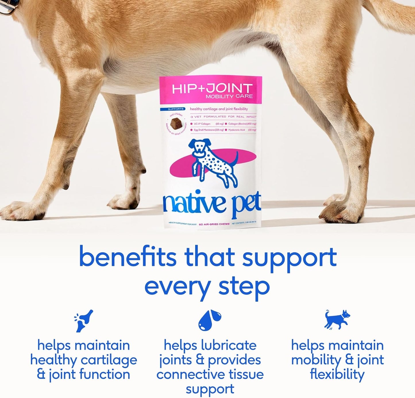 Native Pet Hip & Joint Supplement for Dogs - Advanced Dog Joint & Arthritis Supplement - Helps Maintain Healthy Cartilage, Joint Flexibility, Lubrication, & Function - with ESM & Collagen - 120 Chews