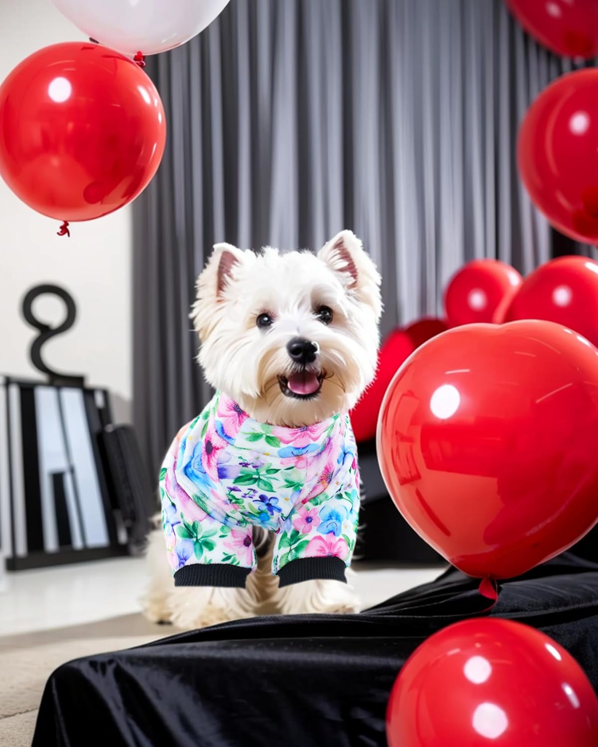 PET SHOW 4 Pack Small Dog Pajamas Cute Paw Bone Clothes for Medium Dogs Soft Stretchy PJs Plaid Jumpsuit Puppy Cats Floral Fruits Onesies Outfits with Sleeve Pets Dachshund Costume(L, Pink for Girls)