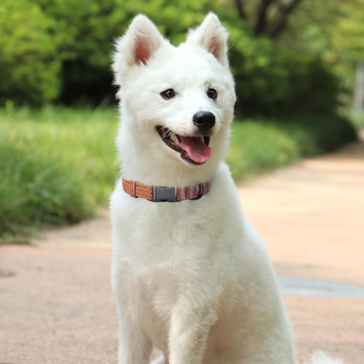 PET ARTIST Soft Cotton Dog Collars for Large Dogs in Rustic Brown, Simple Dog Collar with Quick Release Metal Buckle & D Ring, L Size (15-23")