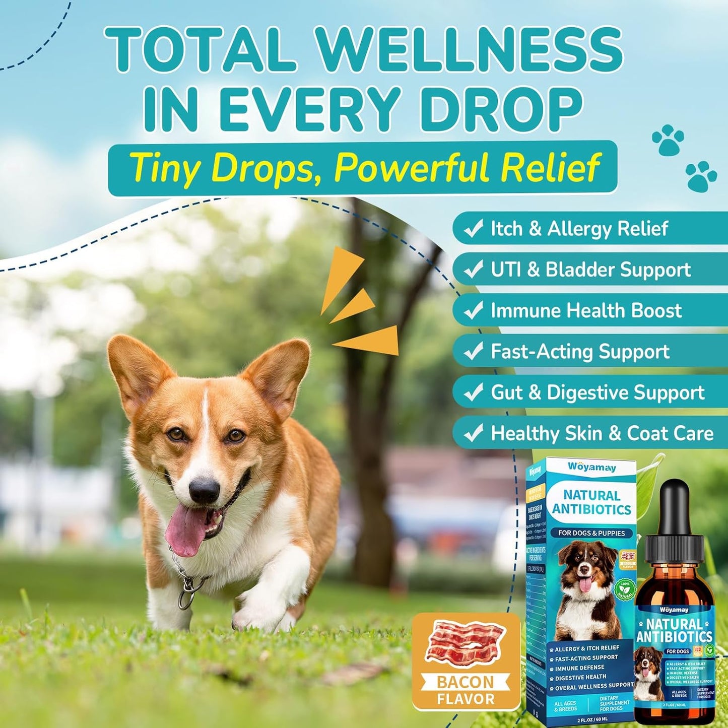 Antibiotics for Dogs | Natural Dog Antibiotics for Allergy Relief, Itch Relief, Coughs, Skin Health, Breath Treatment, Digestion | Herbal Supplement to Care for Ears, Eyes & Coat, 2 Fl Oz