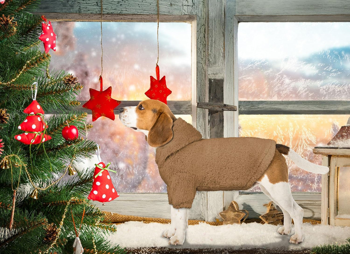 Fuzzy Dog Sweaters for Medium Dogs Dog Hoodie Sweater Clothes Warm Soft Cozy Pet Coats Hooded Sweatshirt Medium Pet Hoodie(Coffee-M)