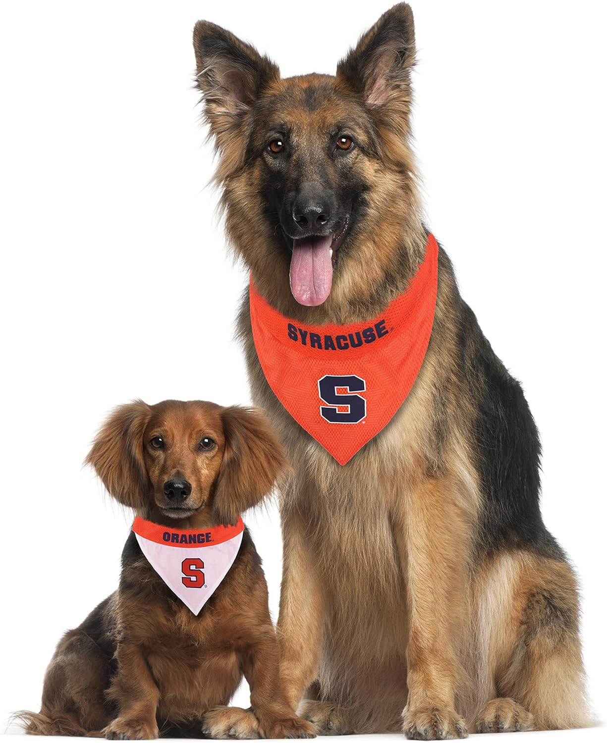 Pets First Collegiate Pet Accessories, Reversible Bandana, Syracuse Orange, Small/Medium