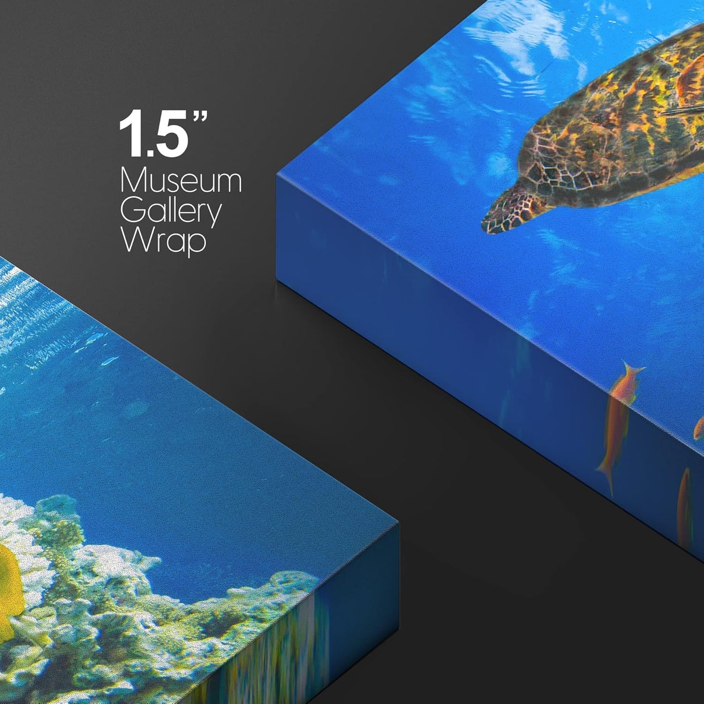 wall26 Canvas Print Wall Art Vibrant Neon Underwater Turtle, Reef & Fish Nature Animals Photography Realism Rustic Scenic Landscape Wilderness Colorful for Living Room, Bedroom, Office - 32"x48"