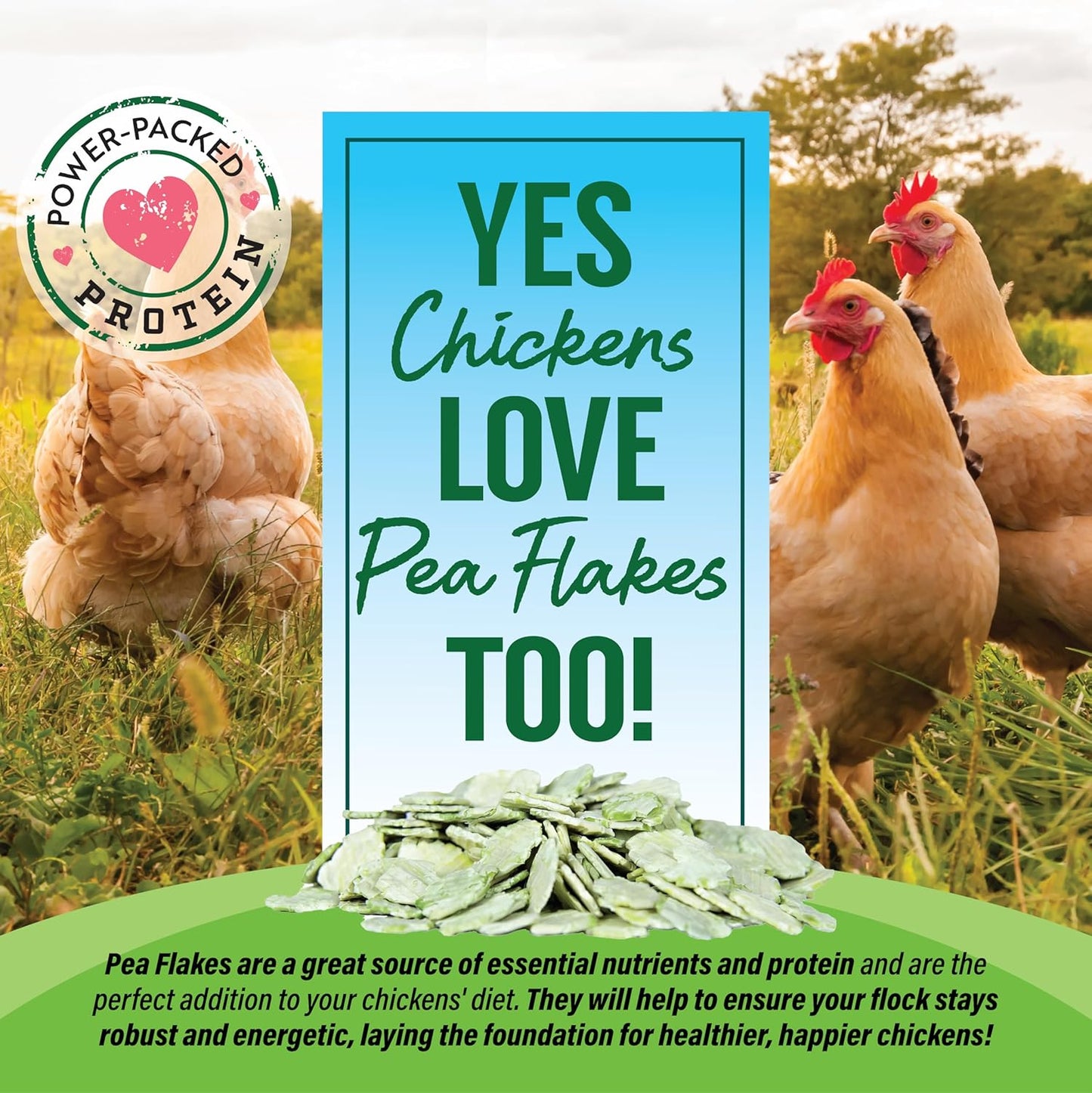 Small Pet Select - Pea Flakes, Treats for Rabbit Bunny, Guinea Pig, Chickens, Bunny, Hamster, and Other Small Pets, 1 lb