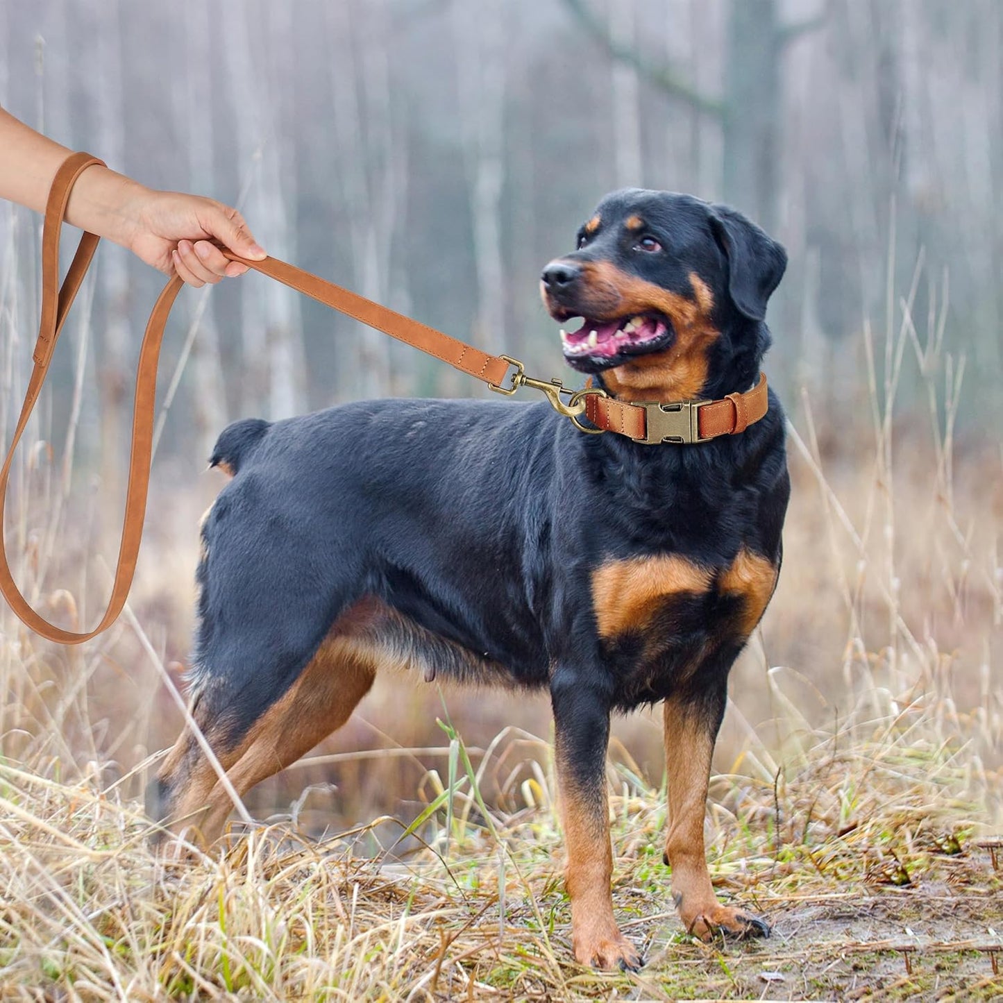 Didog Soft PU Leather Dog Collar, Stylish Quick Released Dog Collar for Large Dogs, Easy Clean Adjustable Pet Collar for Daily Walking, Light Brown, L Fit 15-23" Neck