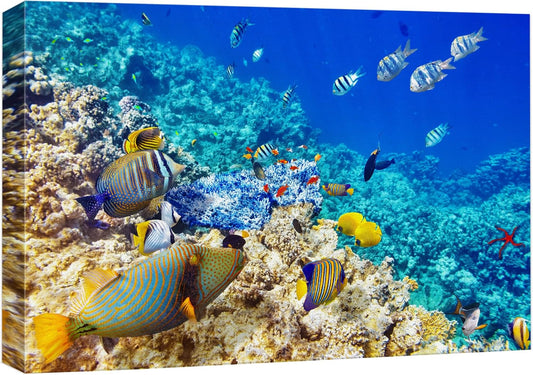 wall26 Canvas Print Wall Art Underwater Neon Blue Teal Ocean Water Fish Nature Animals Photography Realism Rustic Scenic Landscape Wilderness Earth for Living Room, Bedroom, Office - 32"x48"