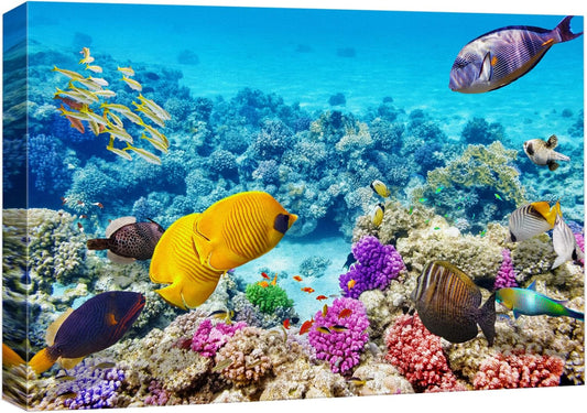 wall26 Canvas Print Wall Art Vibrant Teal Underwater Fish Coral Reef Nature Animals Photography Realism Rustic Scenic Landscape Wilderness Earth Colorful for Living Room, Bedroom, Office - 16"x24"