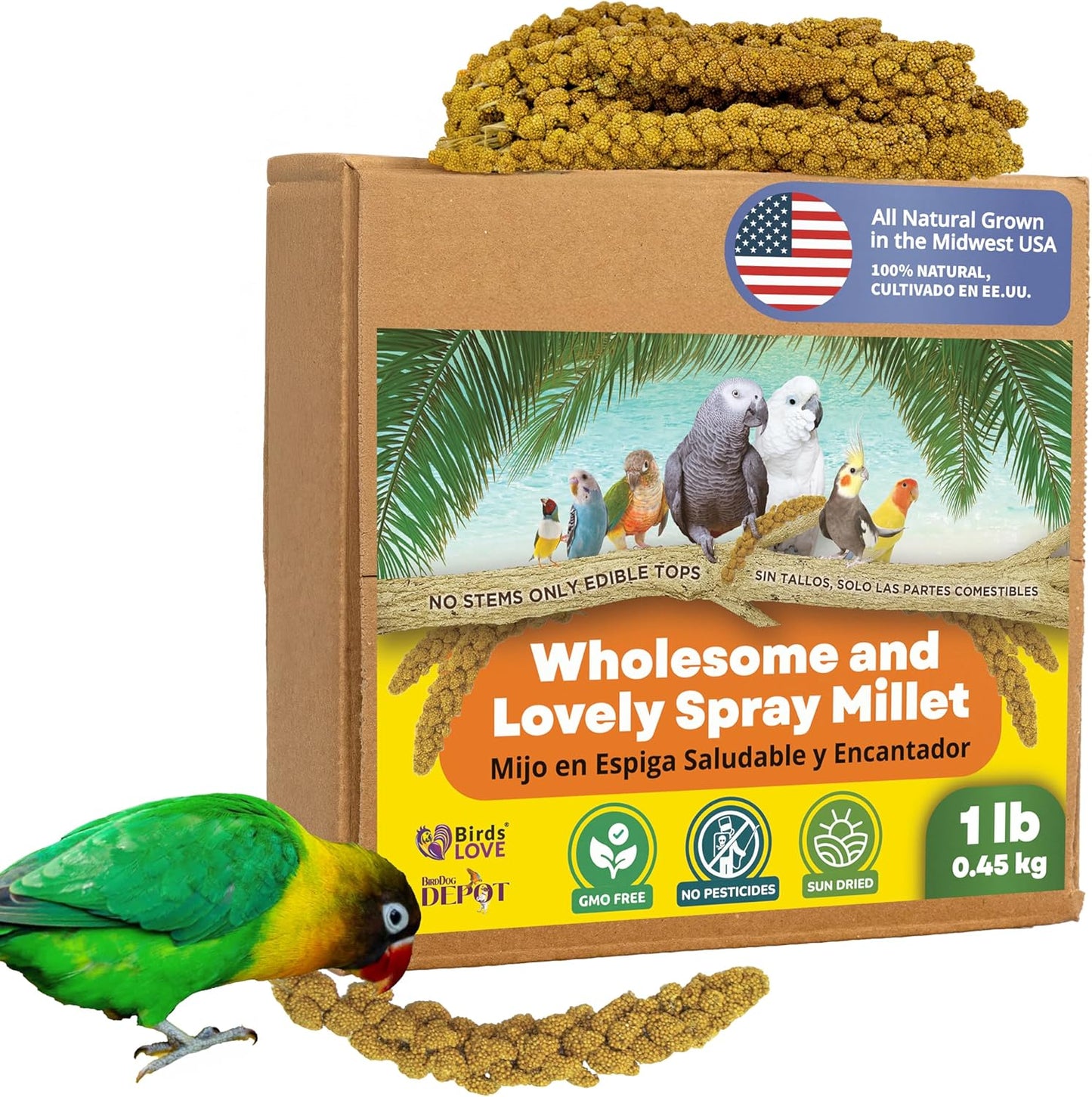 Birds LOVE Spray Millet – 1 lb GMO-Free, No Stems (Edible Tops Only) – Healthy Treat for Cockatiels, Lovebirds, Parakeets, Finches & Canaries