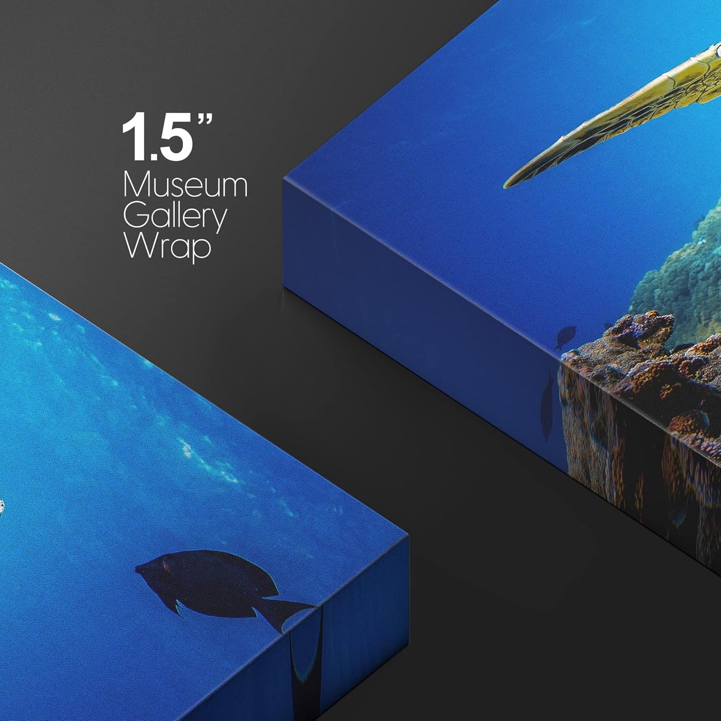 wall26 Canvas Print Wall Art Vibrant Ocean Underwater Swimming Turtle Nature Animals Photography Realism Rustic Scenic Landscape Wilderness Earth Colorful for Living Room, Bedroom, Office - 16"x24"