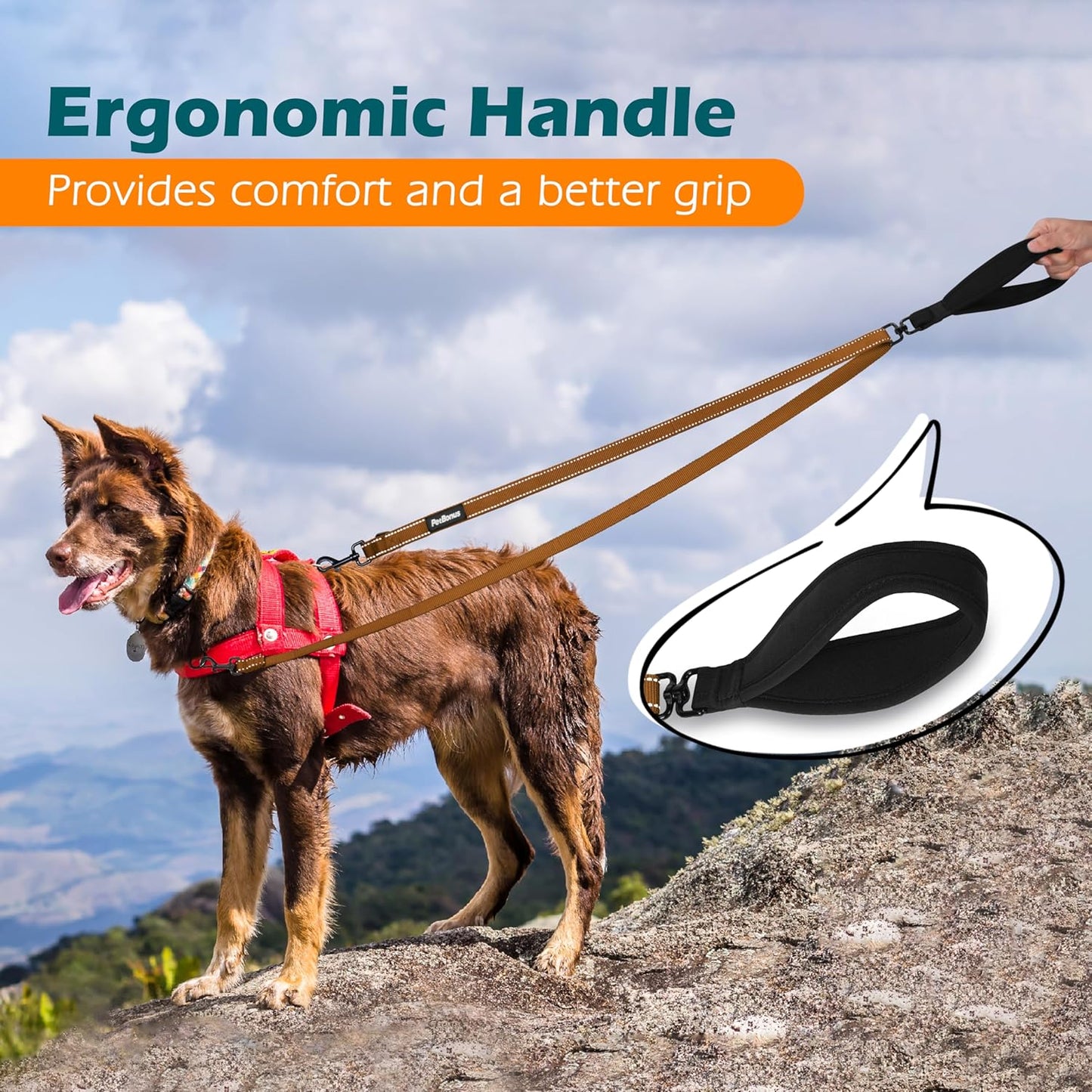PetBonus Two Point Control Dog Leash, Works with No Pull Harnesses, No Tangle Dog Training Leashes, No Pull Padded and Reflective Walking Lead, Converts to Single Leash for Medium Large Dogs (Brown)