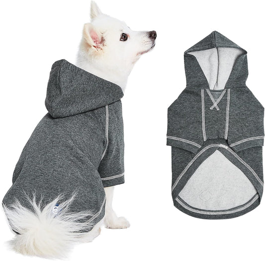 Blueberry Pet Essentials Soft & Comfy Better Basic Cotton Blend Dog Hoodie Sweatshirt in Charcoal Grey, Back Length 20", Pack of 1 Jacket for Dogs