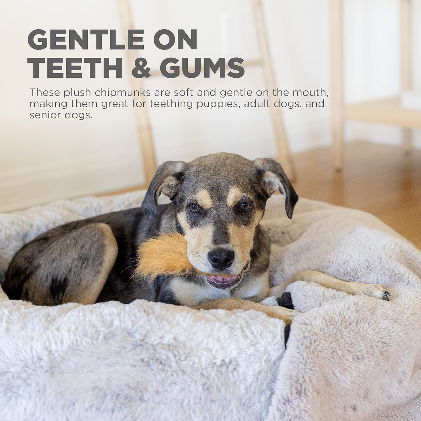 Outward Hound Nina Ottosson Plush Replacement Chipmunk Toys for Snuffle N' Treat Dog Ball Puzzle - 3 Pack