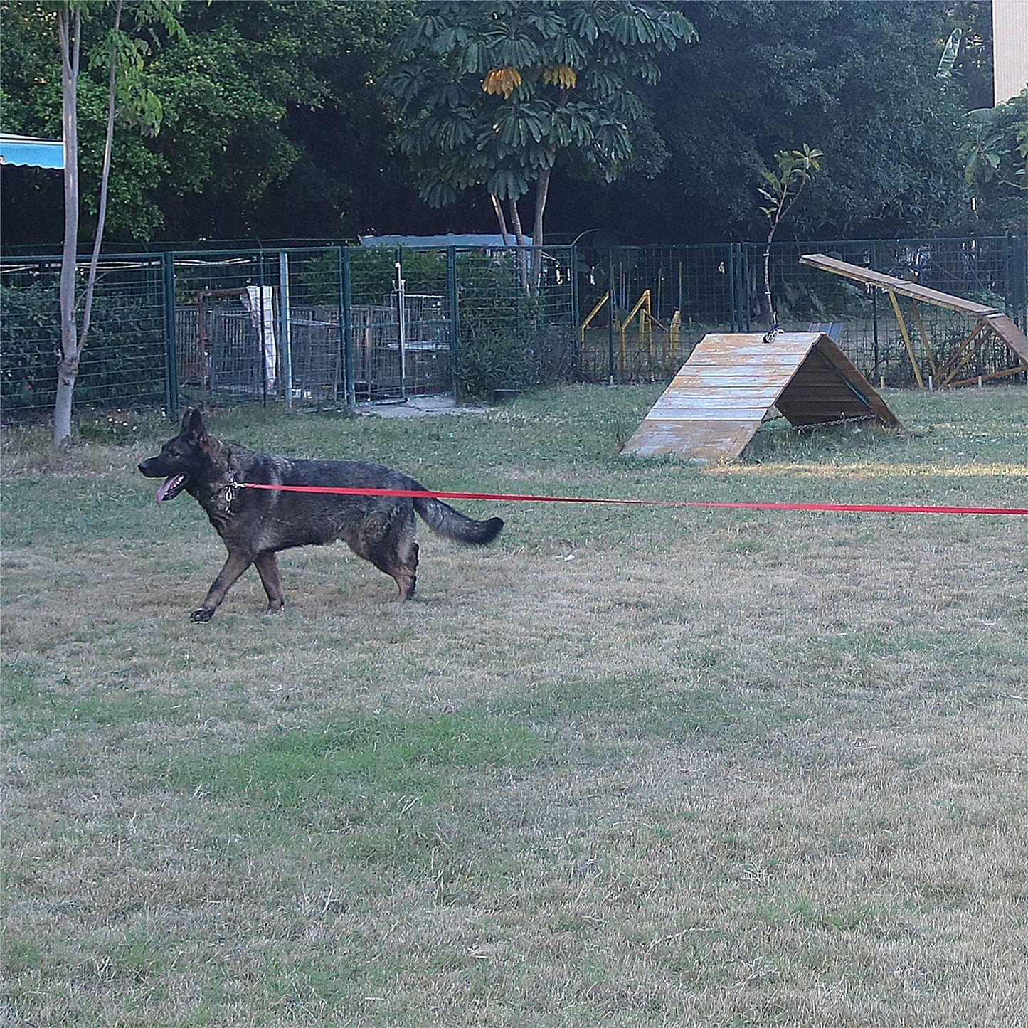 Dog/Puppy Obedience Recall Training Agility Lead - 15ft 20ft 30ft 40ft 50ft Training Leash - Great for Play, Camping, or Backyard (Mint Blue, 40 Feet)