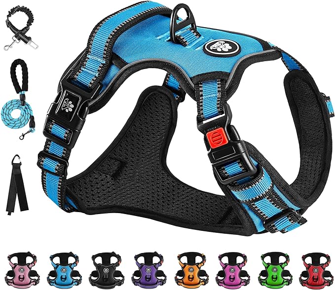 NESTROAD No Pull Dog Vest Harness with Leash, Adjustable Reflective Oxford Pet Harness with Easy Control Handle for Small Dogs, Blue