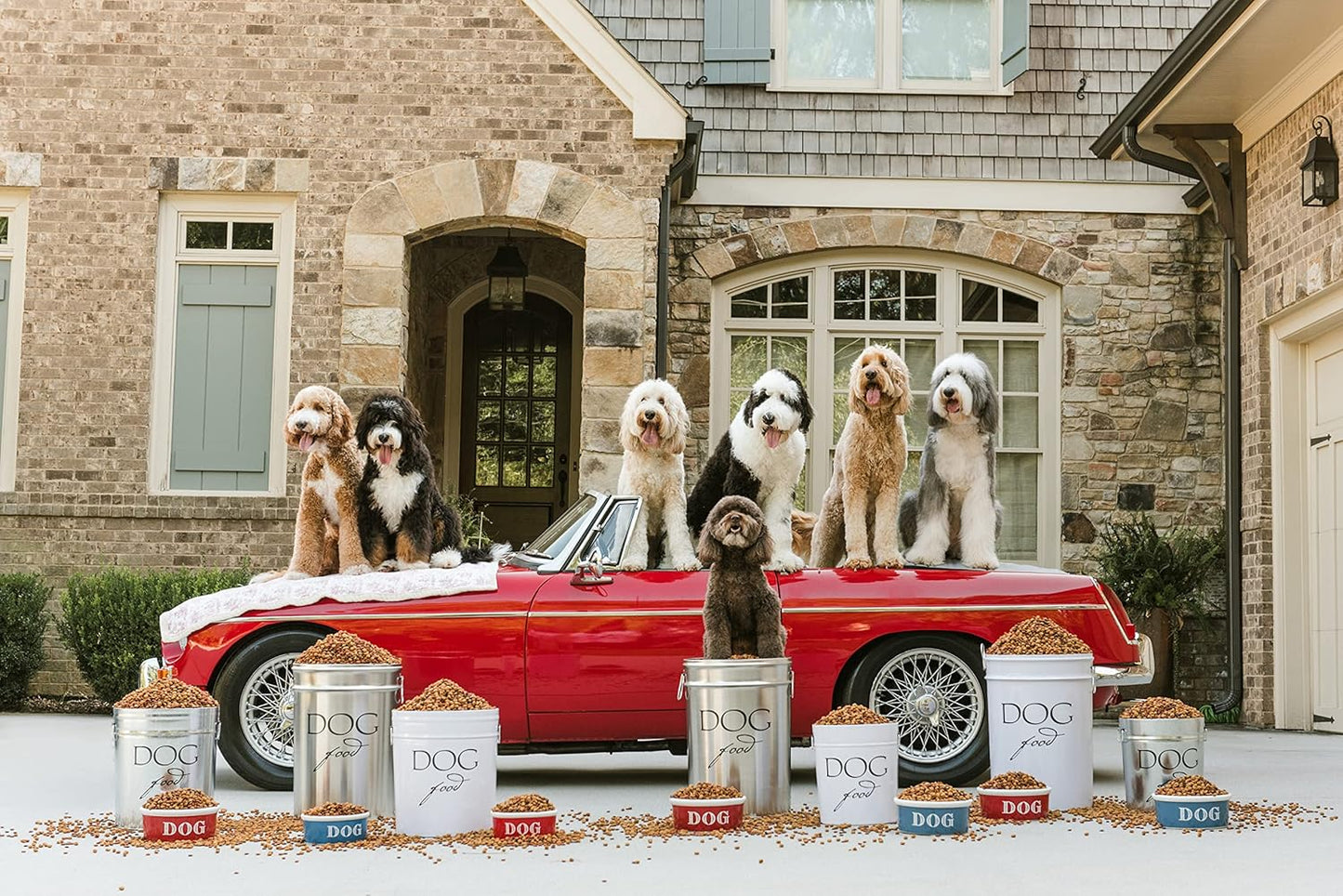 Harry Barker Pet Food Storage Collection, Classic Silver Food Storage - Large