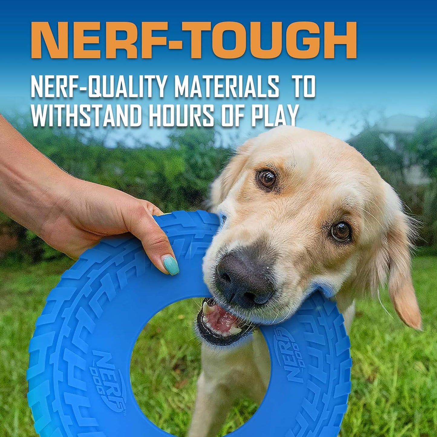 Nerf Dog Tire Flyer Outdoor Dog Toy, 10 Inch Flying Disc Dog Fetch Toy, Rubber Dog Toy for Medium Dogs and Large Dogs, Blue