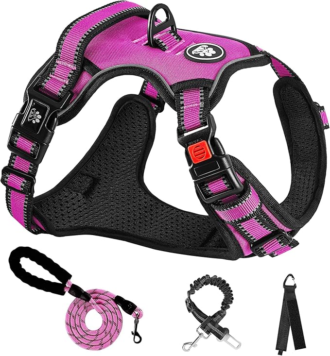 NESTROAD No Pull Dog Harness,Adjustable Oxford Dog Vest Harness with Leash,Reflective No-Choke Pet Harness with Easy Control Soft Handle for Large Dogs(X-Large,Fuchsia Pink)