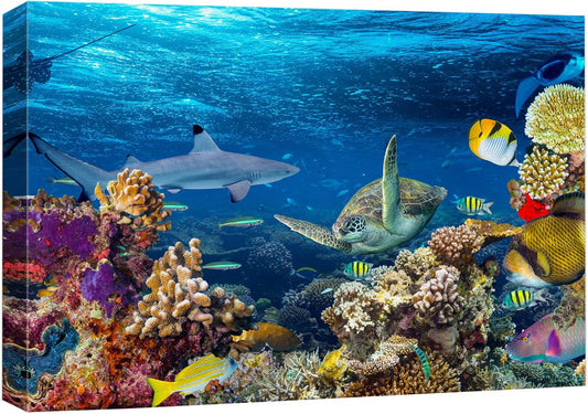 wall26 Canvas Print Wall Art Tropical Island Underwater Turtle Shark Nature Animals Photography Realism Rustic Scenic Landscape Wilderness Earth Colorful for Living Room, Bedroom, Office - 16"x24"