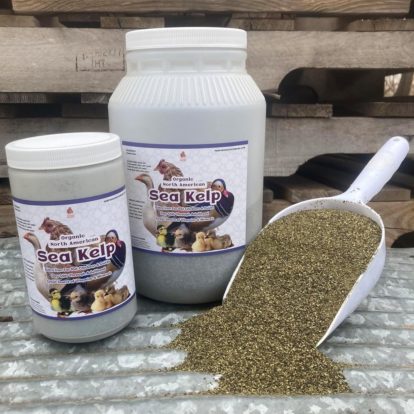 Organic Kelp for Chickens & Duck Feed (1 Pound): Chicken Vitamins | Chicken Supplements | Vitamins for Chickens | Pampered Chicken Mama