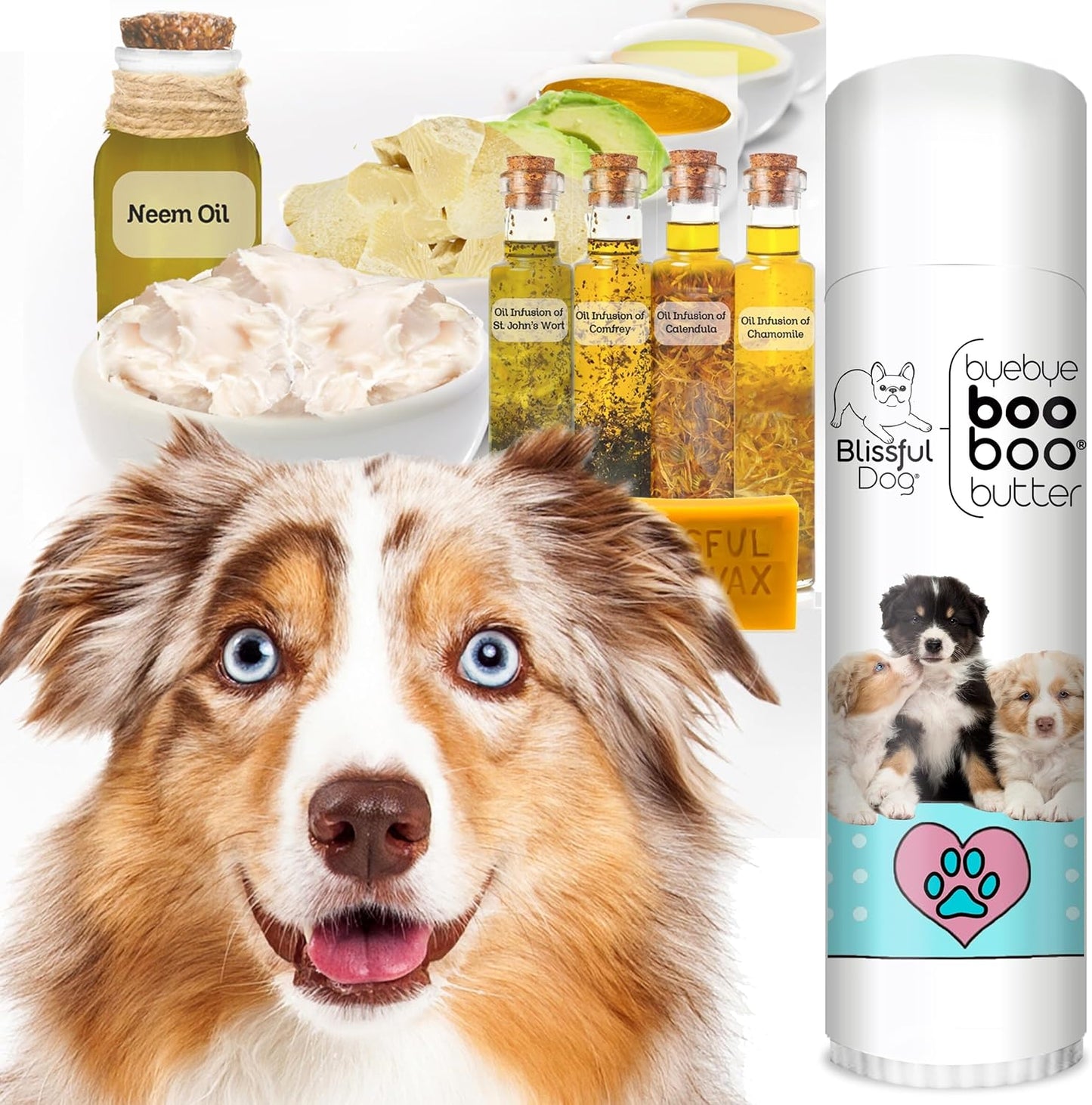 The Blissful Dog .50 oz Tube Australian Shepherd Booboo Butter