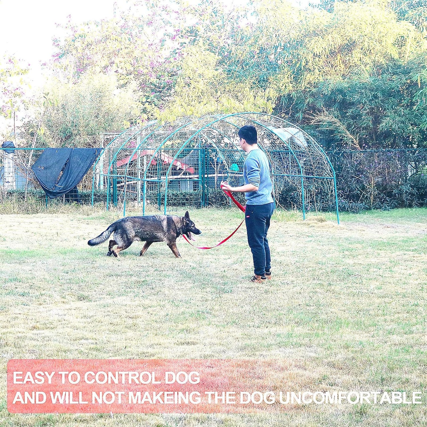 Dog/Puppy Obedience Recall Training Agility Lead - 15ft 20ft 30ft 40ft 50ft Training Leash - Great for Training, Play, Camping, or Backyard（Red，40 Feet）