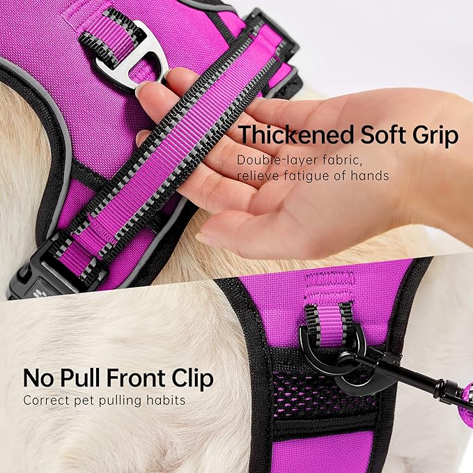 NESTROAD No Pull Dog Harness,Adjustable Oxford Dog Vest Harness with Leash,Reflective No-Choke Pet Harness with Easy Control Soft Handle for Small Medium Dogs(Medium,Fuchsia Pink)
