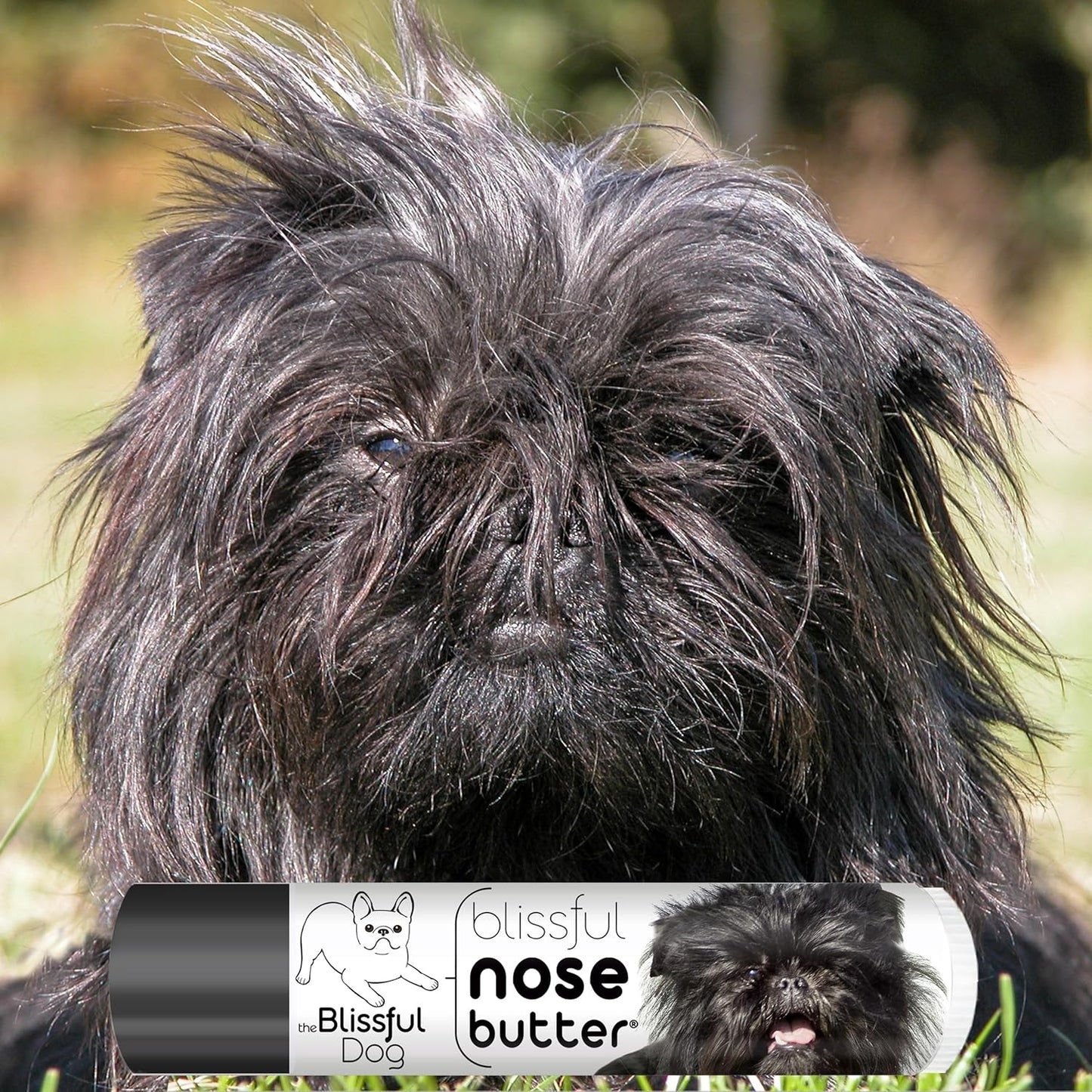 The Blissful Dog Affenpinscher Nose Butter for Dry, Cracked Skin, Lick-Safe Dog Nose Balm with Moisturizing Shea Butter, Almond, Olive, and Essential Oils, Pet Supplies, Uncented, 0.15 oz.