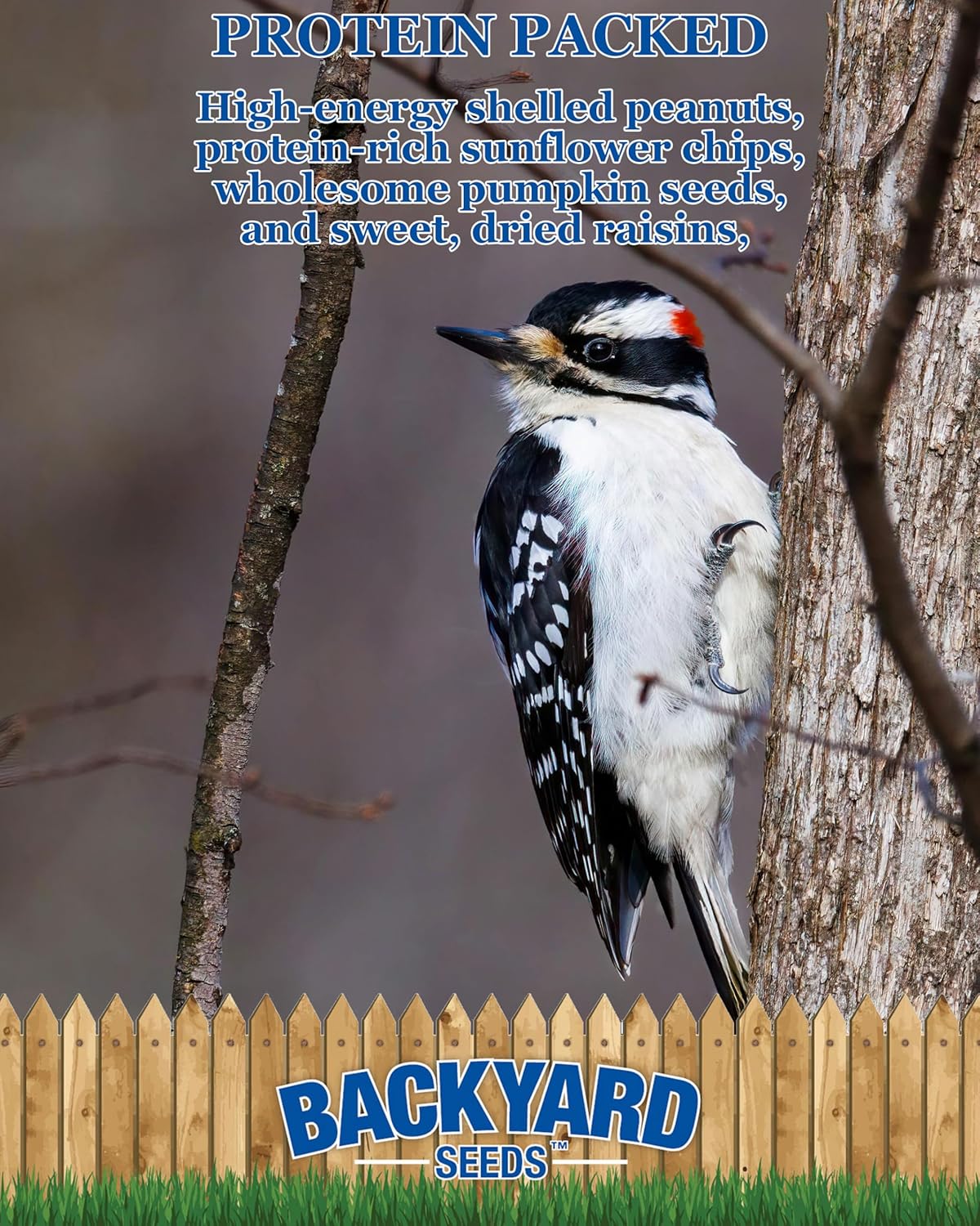 Backyard Seeds Woodpecker No Waste Mix Shelled Peanuts Mixed Bird Seed with Sunflower Chips, Pumpkins, Raisins (20 Pounds)