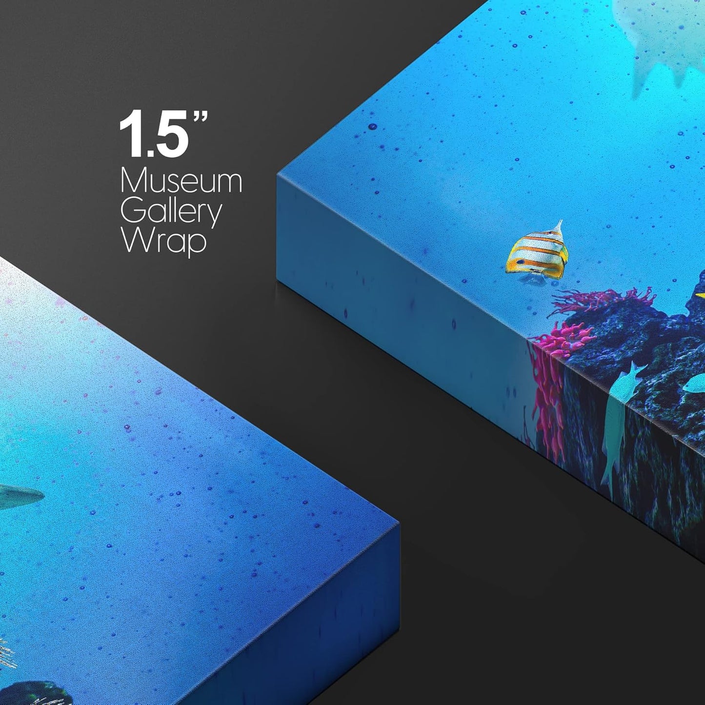 wall26 Canvas Print Wall Art Vibrant Coral Reef Shark Fish Anemone Reef Nature Animals Photography Realism Rustic Scenic Landscape Wilderness Earth for Living Room, Bedroom, Office - 24"x36"