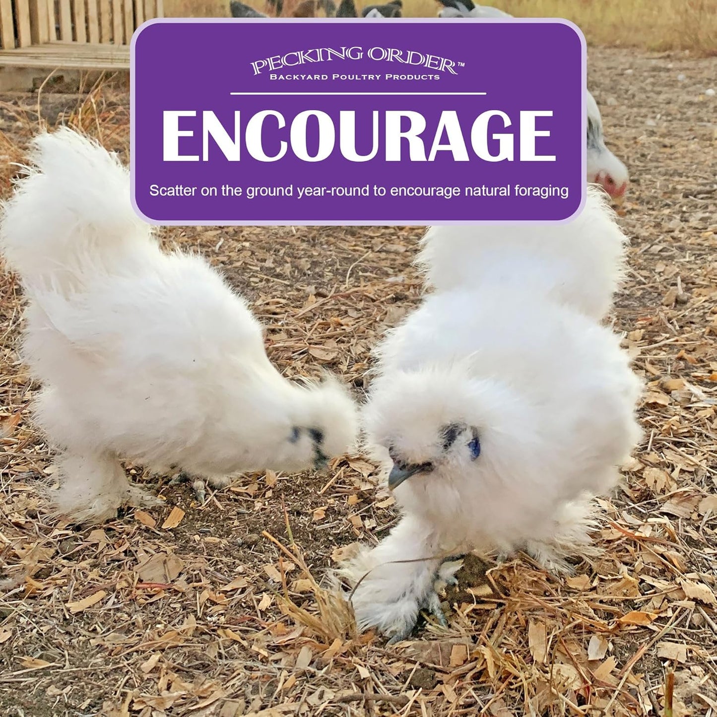 Pecking Order Dried Mealworms, 11 lbs